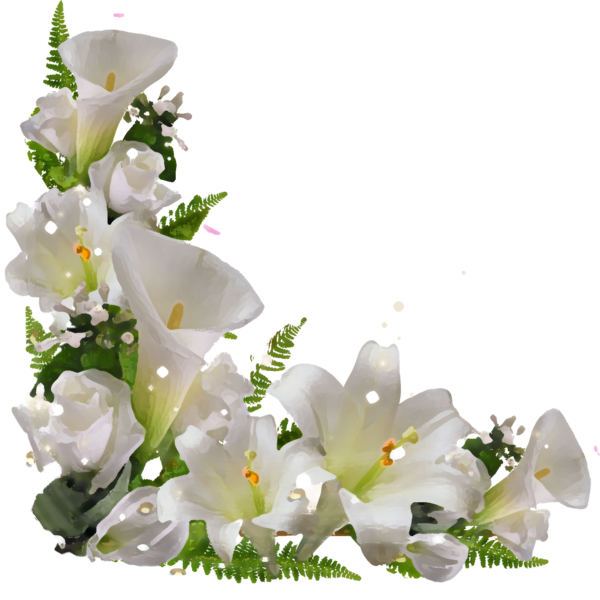 Transparent Flower Easter Lily Poligrafia Plant for Easter