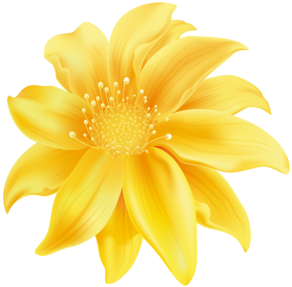Transparent Flower Yellow Floral Design Pollen for Easter