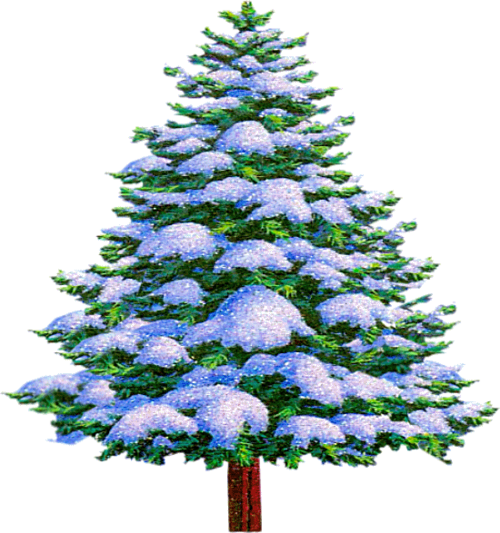 Transparent Christmas Blessing Wish Christmas Tree Tree for Christmas