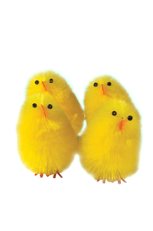 Transparent Chicken Kifaranga Yellow Feather for Easter