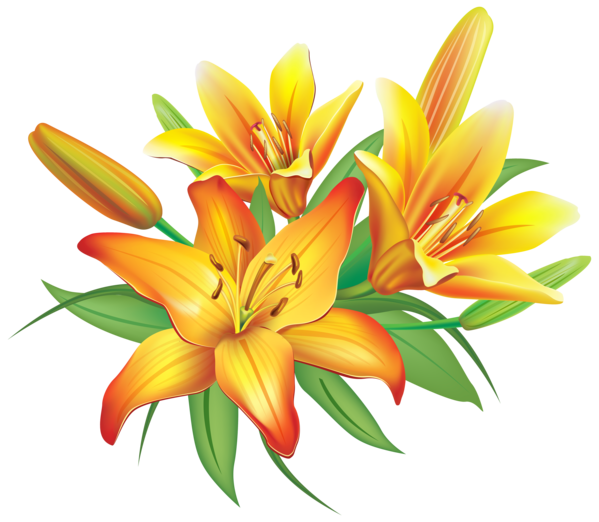 Transparent Flower Yellow Easter Lily for Easter
