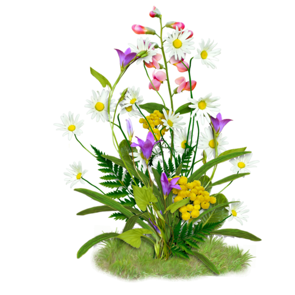 Transparent Spring Flower Christian Friends Plant for Easter
