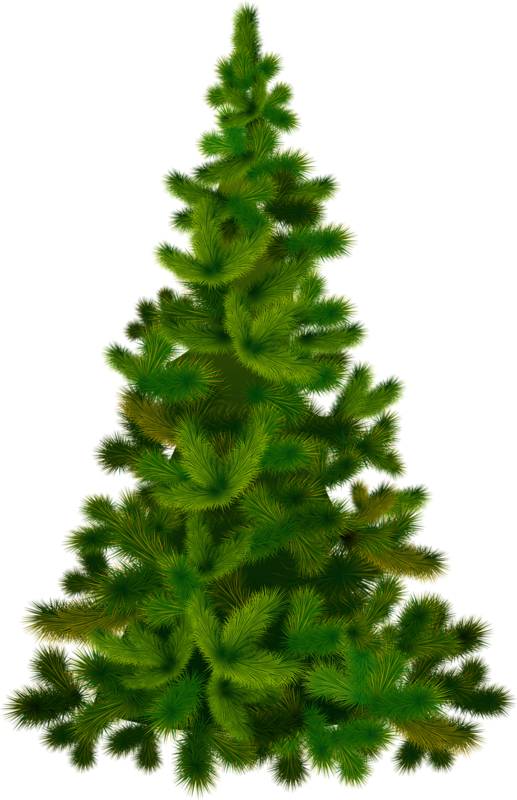 Transparent Santa Claus Picture Frames Christmas Fir Pine Family for Christmas