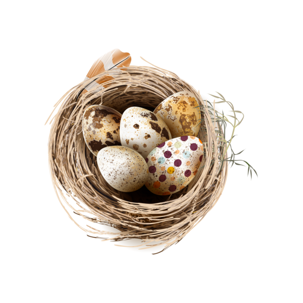 Transparent Bird Chicken Egg Basket Bird Nest for Easter