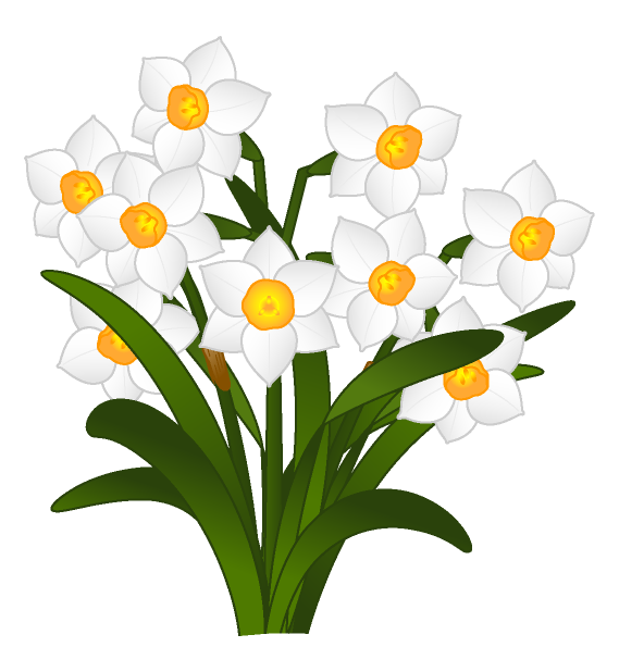 Transparent Cut Flowers Flower Bunchflowered Daffodil Plant for Easter