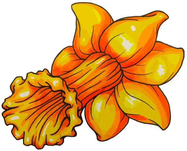 Transparent Daffodil Flower Lily Orange Yellow for Easter