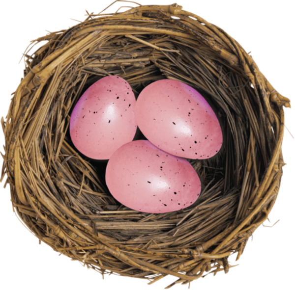 Transparent European Robin Bird Bird Nest Egg for Easter