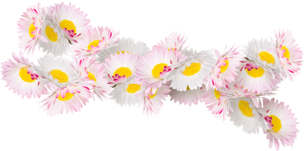 Transparent Flower Floral Design Cut Flowers Pink for Easter