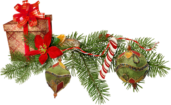 Transparent Christmas Gift Christmas Decoration Fir Pine Family for Christmas