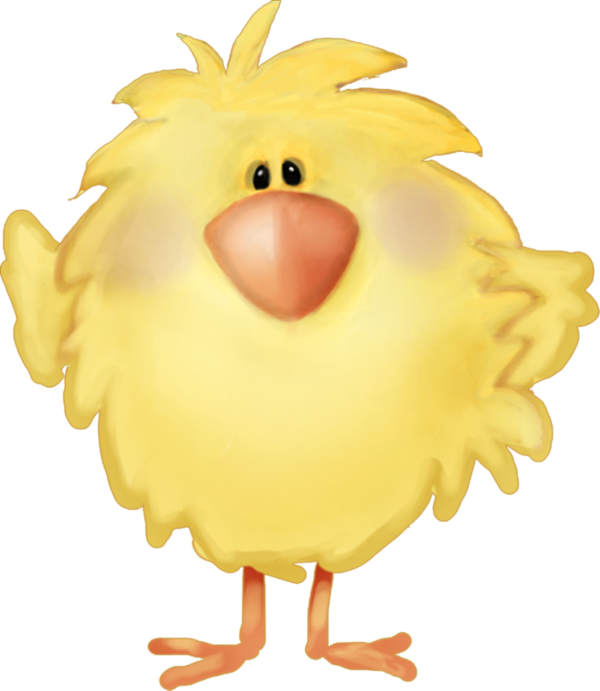 Transparent Chicken Drawing Cartoon Water Bird Yellow for Easter