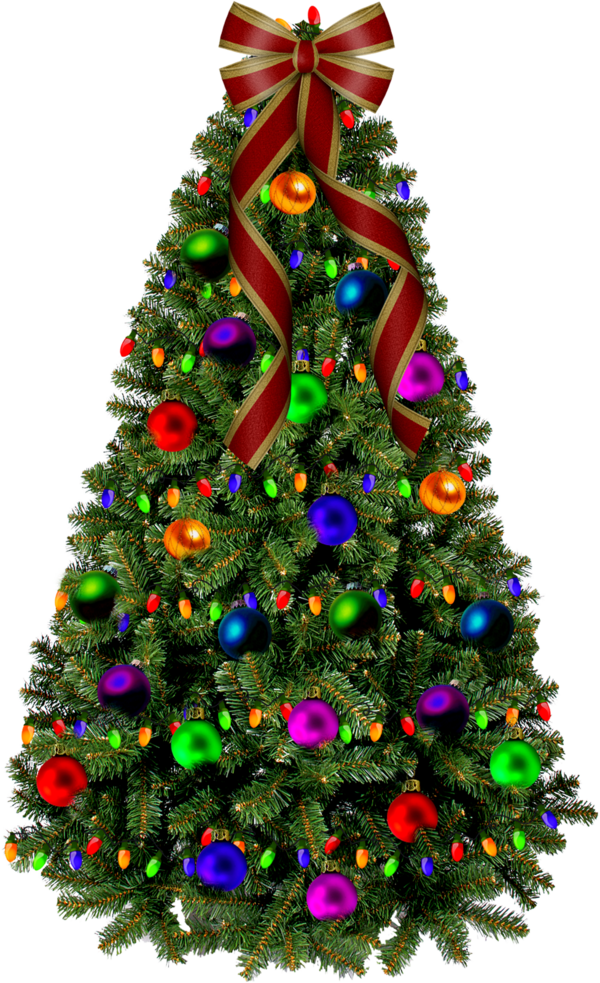 Transparent Kelcam Properties Christmas Christmas Tree Fir Pine Family for Christmas
