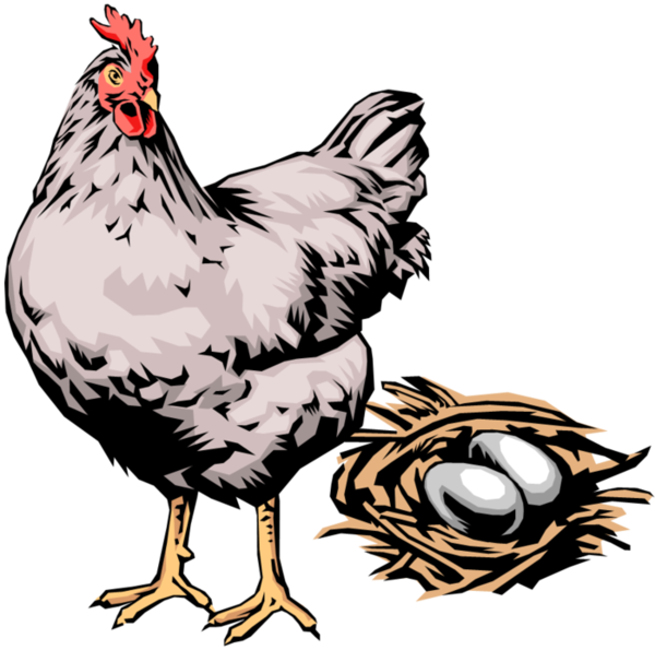 Transparent Chicken Egg Poultry Bird for Easter