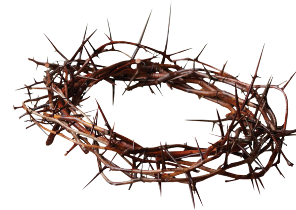 Transparent Good Friday Easter Palm Sunday Branch Twig for Easter