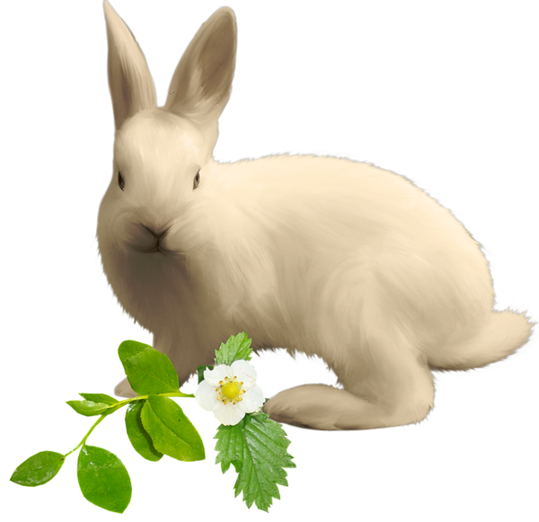 Transparent Rabbit Hare Easter Bunny Rabbits And Hares for Easter