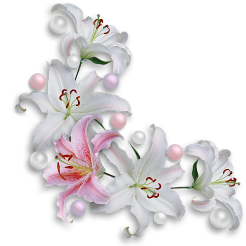 Transparent Easter Lily Flower Pin Pink Plant for Easter