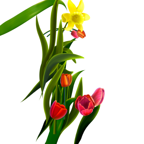 Transparent Flower Tulip Floral Design Plant for Easter