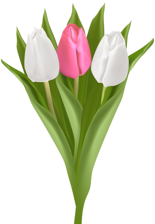 Transparent Tulip Flower Bouquet Flower Plant for Easter