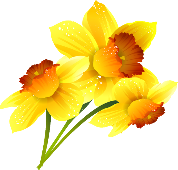 Transparent Daffodil Google Slides Flower Yellow for Easter