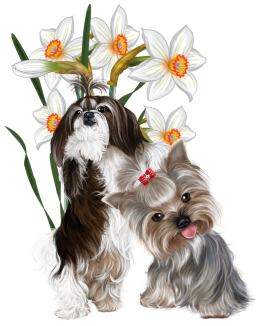 Transparent Flower Drawing Tulip Dog Shih Tzu for Easter