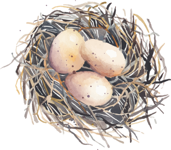 Transparent Bird Swallow Bird Nest Nest for Easter