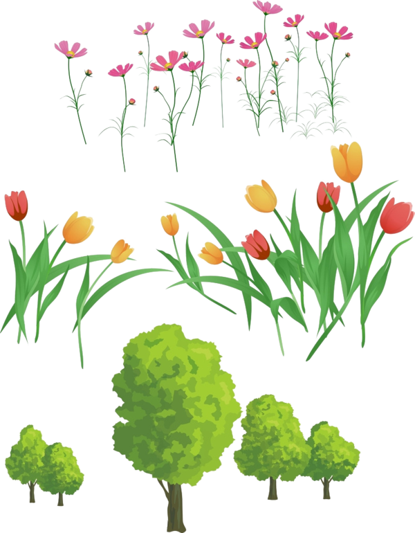 Transparent Tulip Flower Floral Design Meadow Spring for Easter