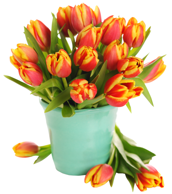 Transparent Tulip Easter Flower Plant for Easter