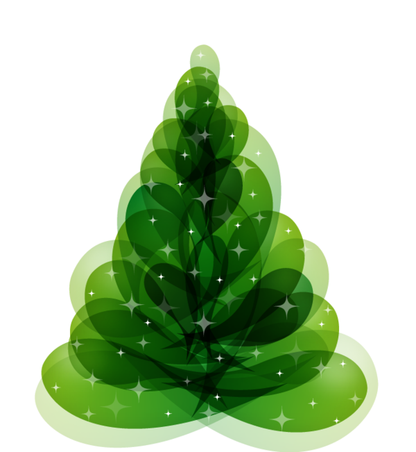 Transparent Christmas Christmas Tree Tree Fir Pine Family for Christmas