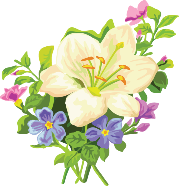 Transparent Flower Lilium Bulbiferum Arumlily Plant for Easter