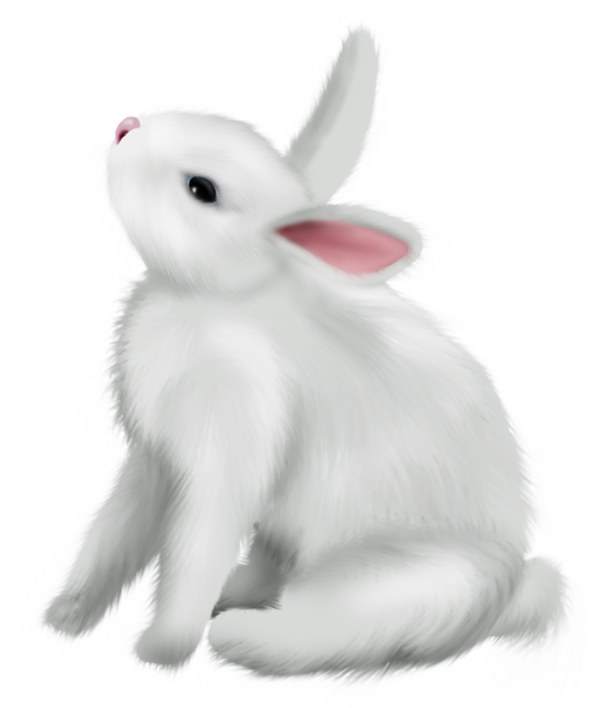 Transparent Arctic Hare Rabbit Easter Bunny Rabbits And Hares for Easter