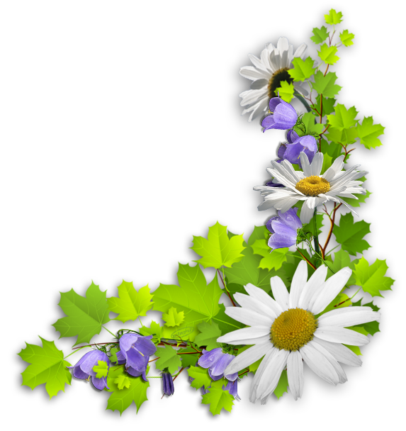 Transparent Common Daisy Ornament Ornamental Plant Flower Plant for Easter