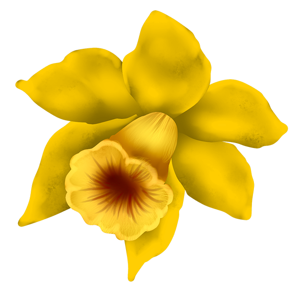 Transparent Daffodil Sticker Presentation Flower Yellow for Easter