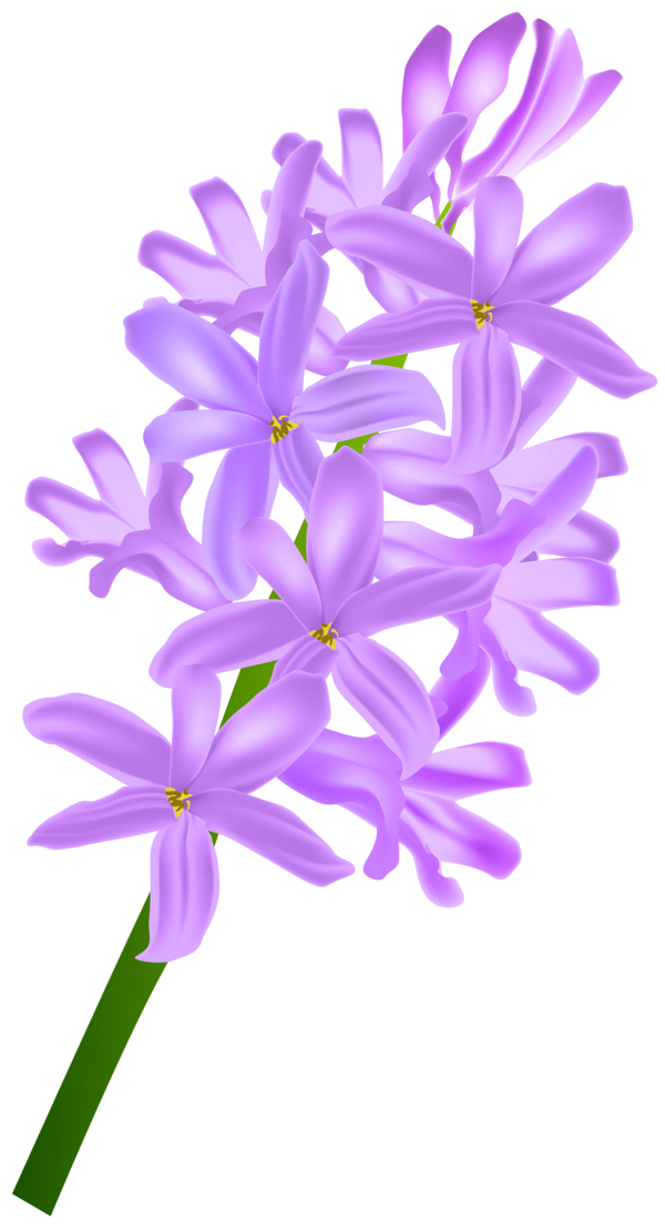 Transparent Flower Violet Plant for Easter