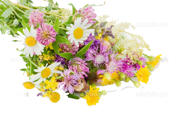Transparent Flower Bouquet Flower Gift Plant Flora for Easter