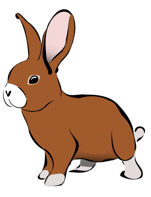 Transparent Hare Rabbit Easter Bunny for Easter