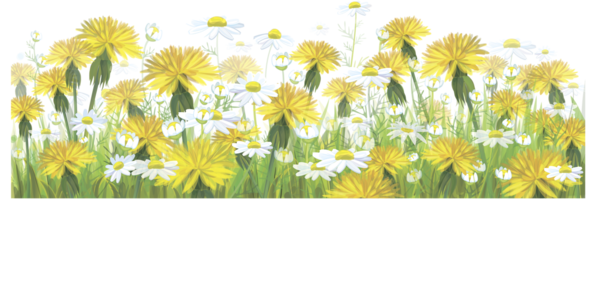 Transparent Flower Yellow Yellow Easter Grass for Easter