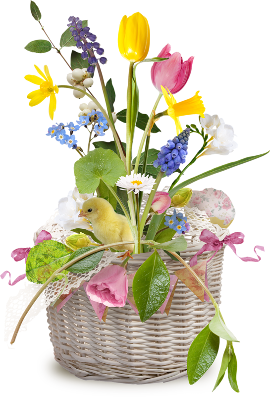 Transparent Easter Flower Easter Basket Plant for Easter