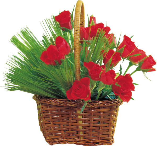 Transparent Flower Basket Flower Bouquet Plant for Easter