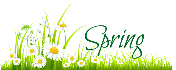 Transparent Spring Blog Flower Green Grass for Easter