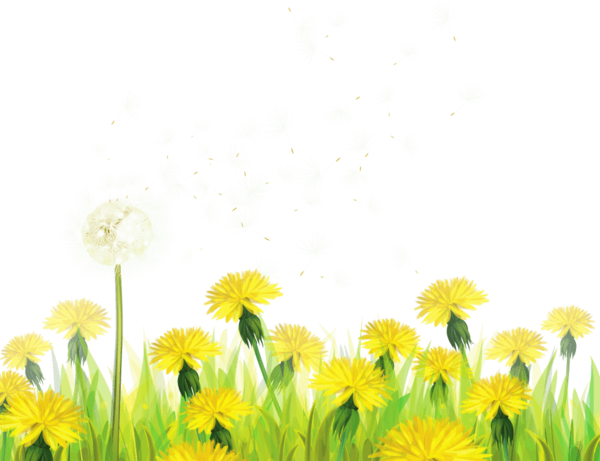 Transparent Dandelion Paper Flower Yellow for Easter