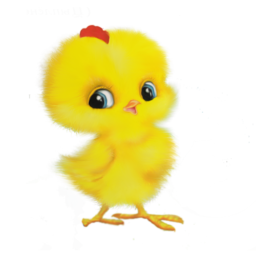 Transparent Chicken Child Game Water Bird Stuffed Toy for Easter