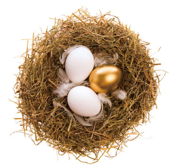 Transparent Bald Eagle Bird Nest Twig Bird Nest for Easter