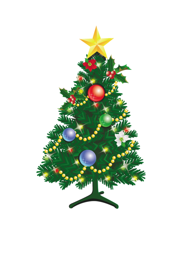 Transparent Christmas Tree Christmas Tree Fir Pine Family for Christmas
