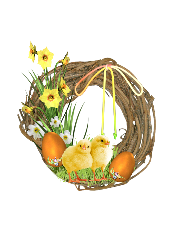 Transparent Duck Bird Bird Egg Vegetable Flower for Easter