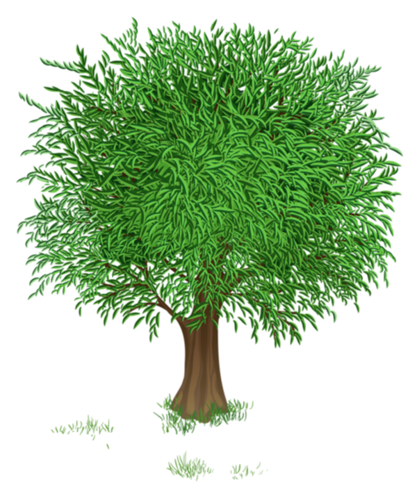 Transparent Tree Spring Cartoon Evergreen Plant for Easter