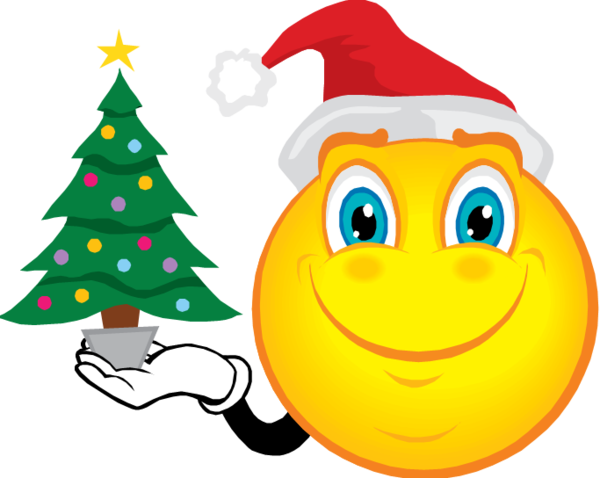 Transparent Smiley Emoticon Christmas Christmas Ornament for Christmas