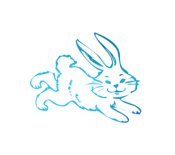 Transparent Easter Bunny Drawing Coloring Book Line Art Rabbit for Easter