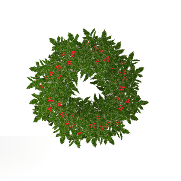 Transparent Wreath Christmas Laurel Wreath Fir Pine Family for Christmas