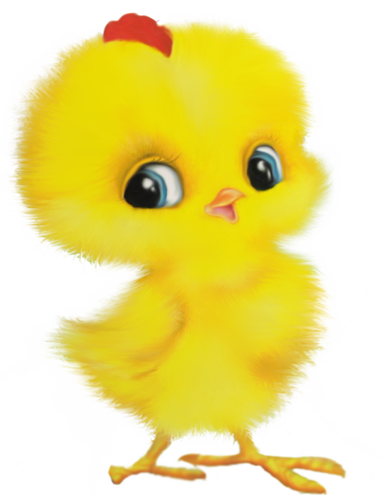 Transparent Chicken Child Rooster Yellow Cartoon for Easter