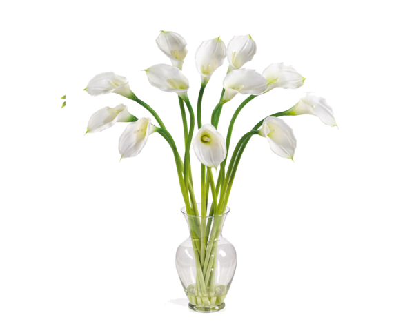 Transparent Arumlily Flower Artificial Flower White for Easter