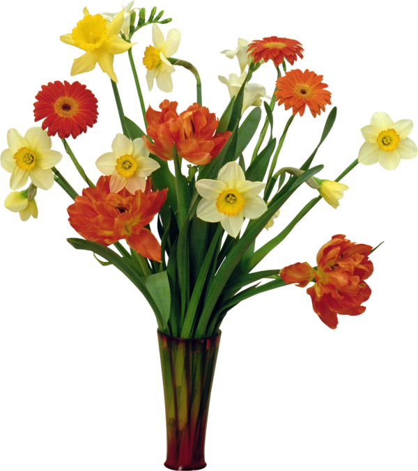 Transparent Daffodil Cut Flowers Flower Plant for Easter